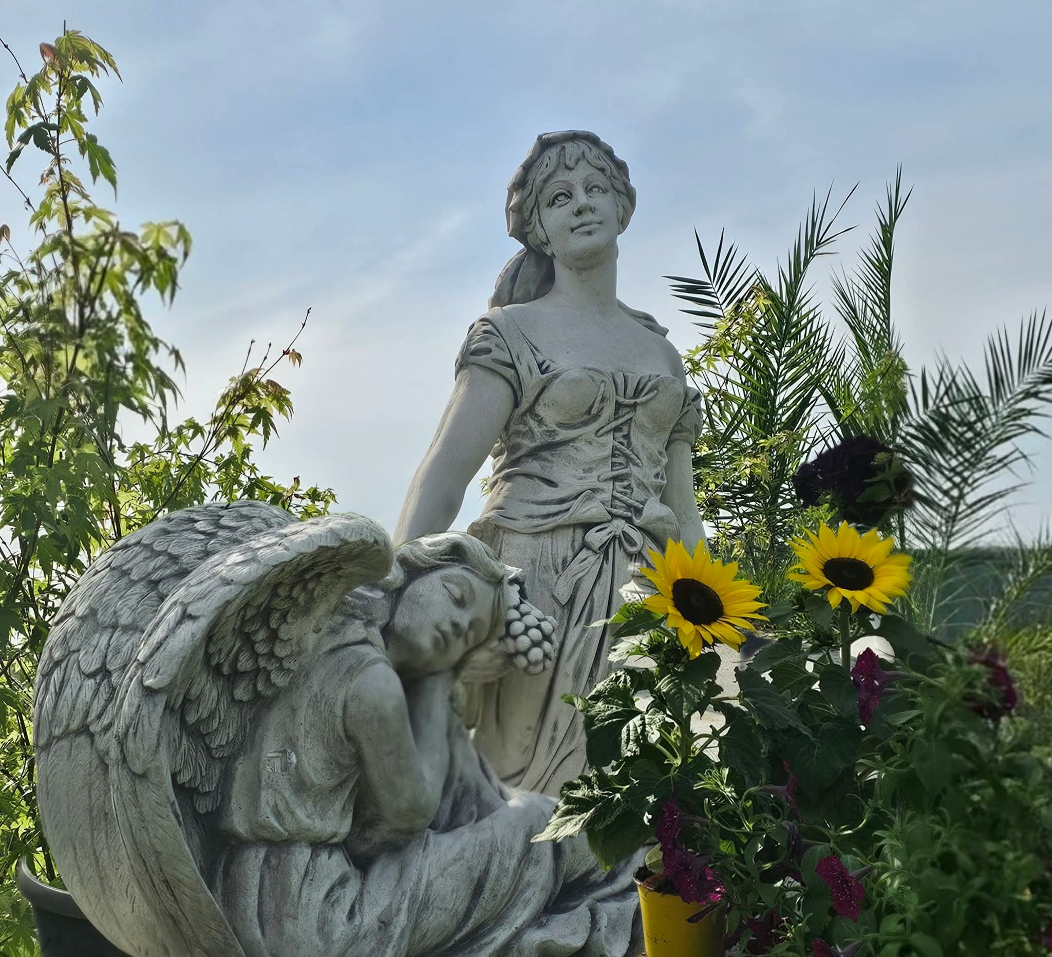 Angyalkert Kertészet nyitvatartás